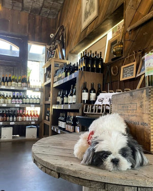 Hatch Wines Dog Friendly Tasting Room